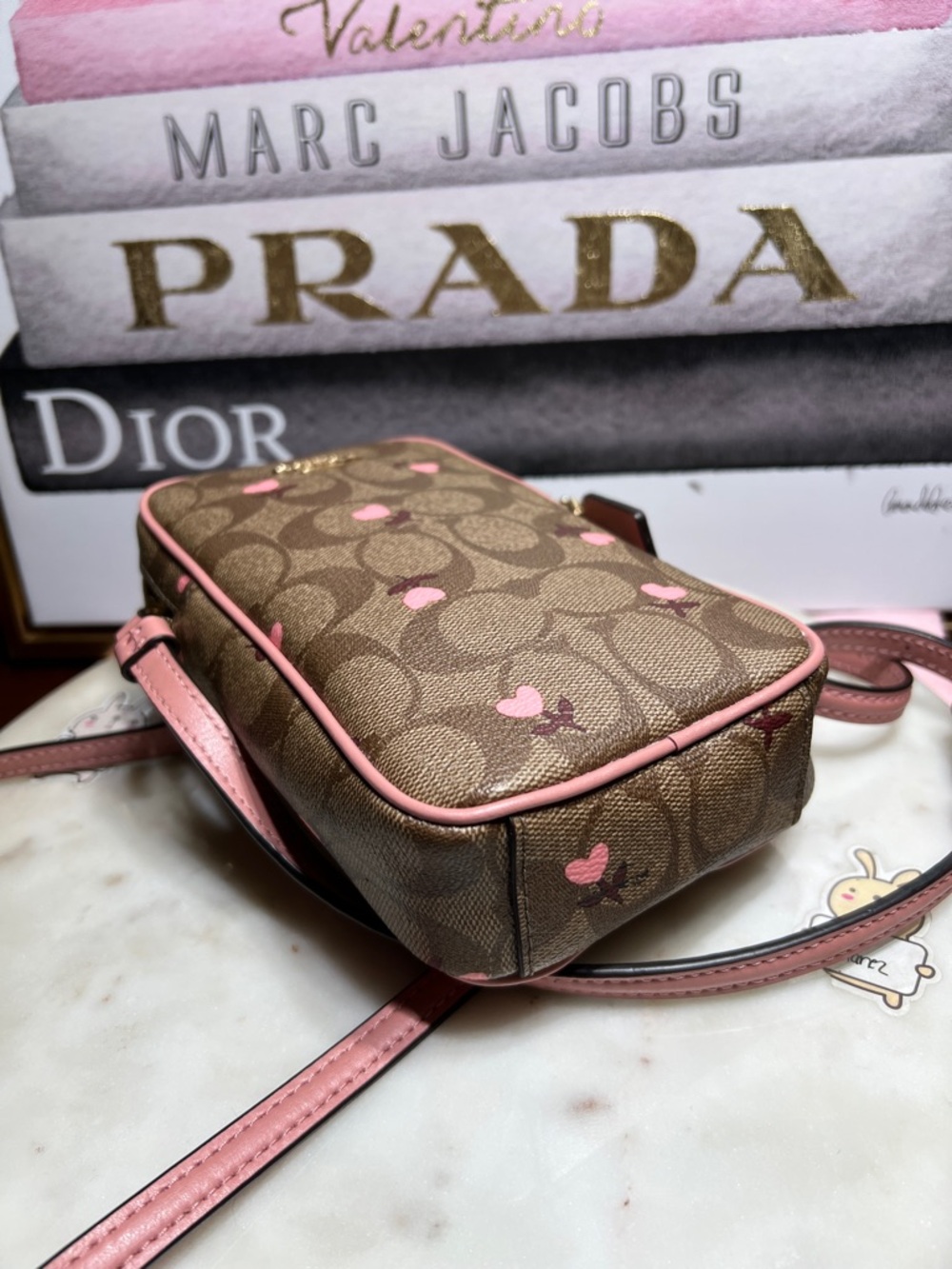 Coach North/South Zip Crossbody
In Signature Canvas With Heart Floral Print - Picture 8 of 11